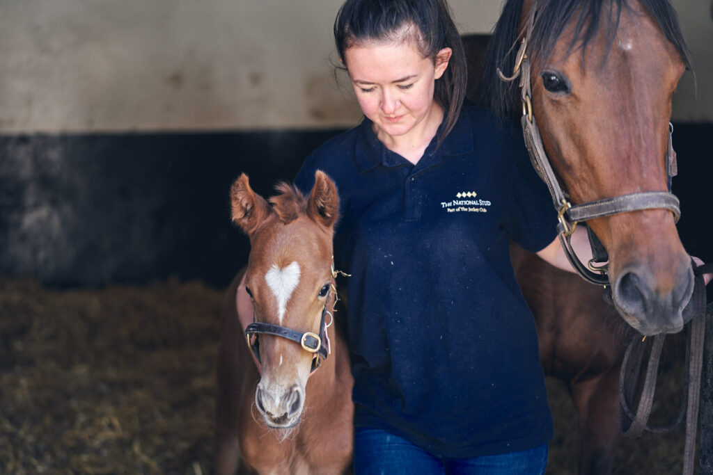 Realise your potential within the thoroughbred industry